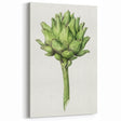 Classic Romantic Artichoke Print - Famous Romantic Era Wall Art