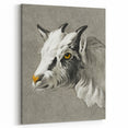 Romantic Goat Portrait by Jean-Bernard - Historical Romantic Canvas