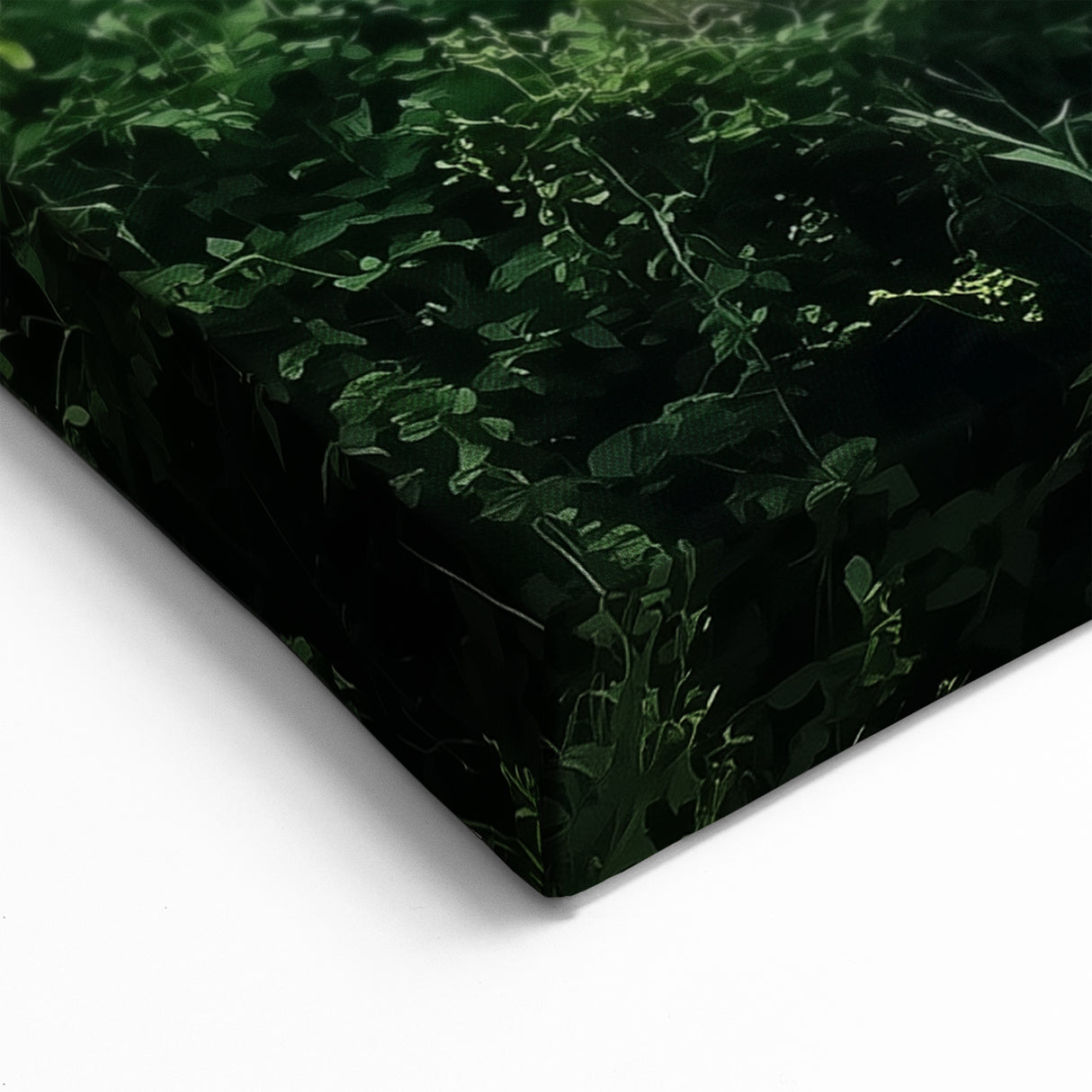 Bridge Paintings - Tranquil Pathway in Forest