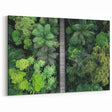 Lush Jungle Bridge Wall Art – Tropical Canopy Walkway
