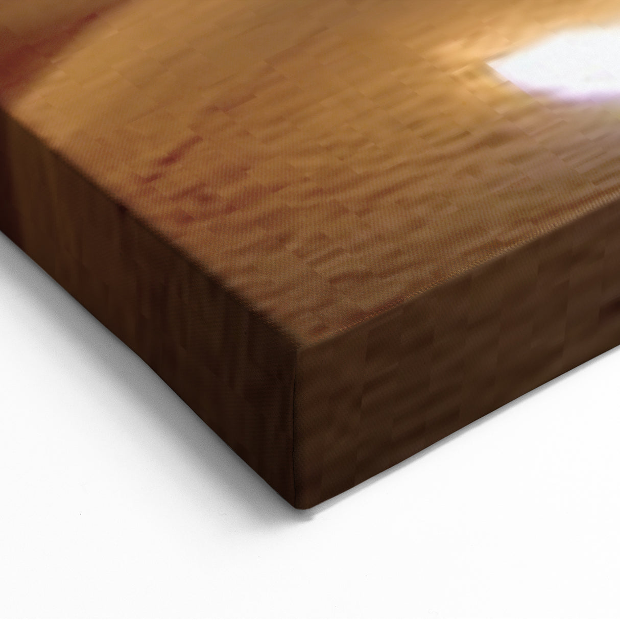 Nature's Spotlight Canyon Art - Captivating Canyon Canvas Prints