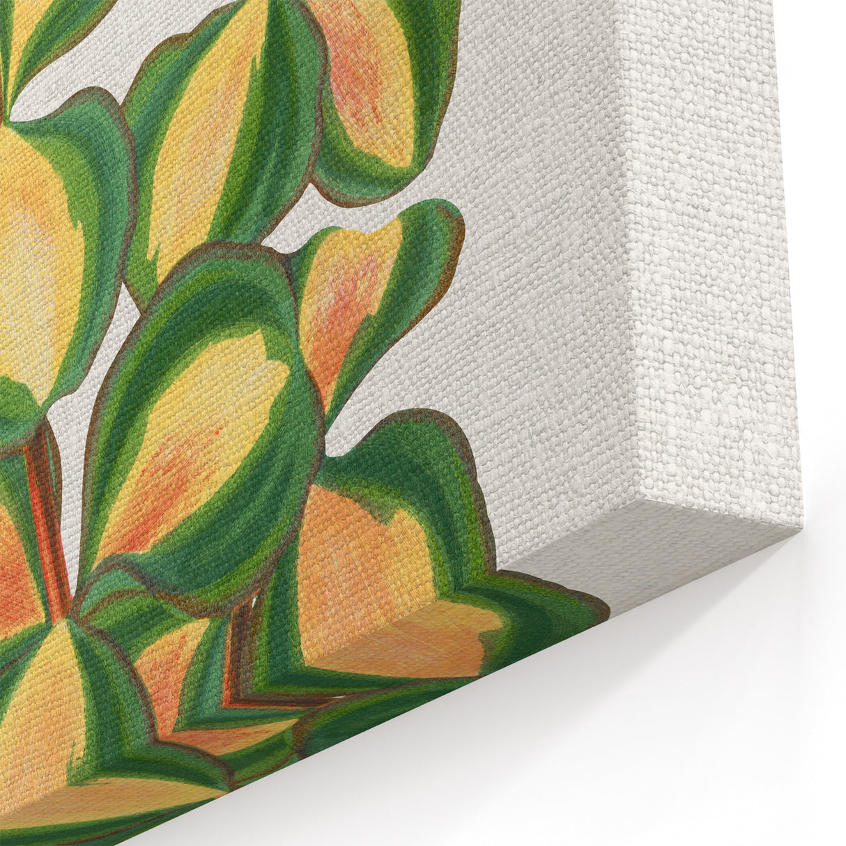 Romanticism Art - Stonecrop Leaf Illustration by Lydon & Fawsett Print