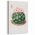 Famous Romantic Era Art - Mammillaria Cactus Romanticism Print