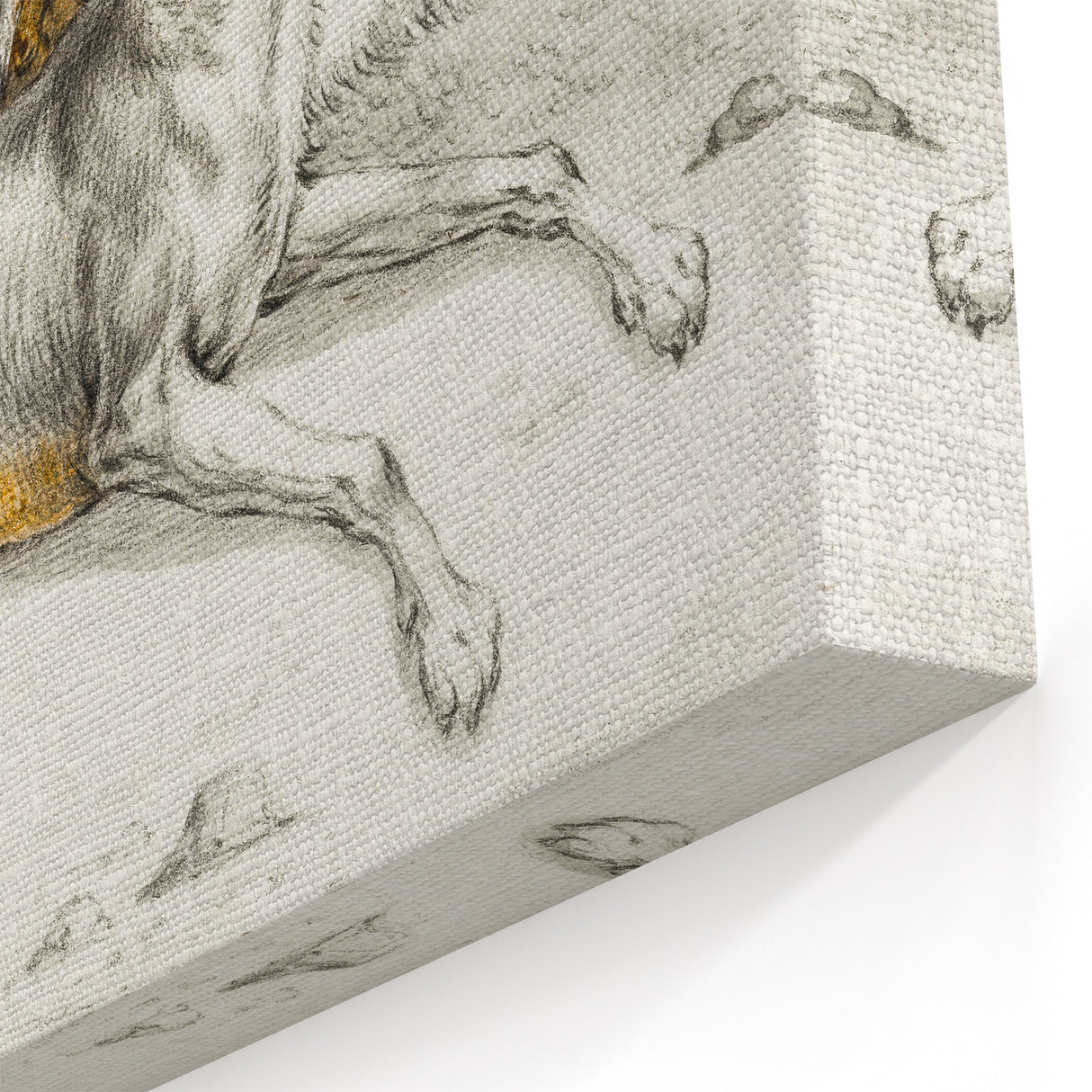 Romanticism Art - Elegant Dog Illustration on Canvas Print