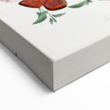Classic Romantic Paintings - Butterfly & Moth Illustration Wall Art