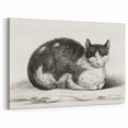Classic Romantic Paintings - Lying Cat Illustration Wall Art