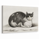 Classic Romantic Paintings - Lying Cat Illustration Wall Art
