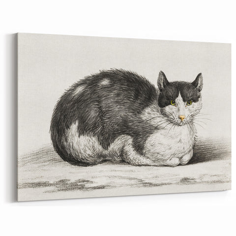 Classic Romantic Paintings - Lying Cat Illustration Wall Art