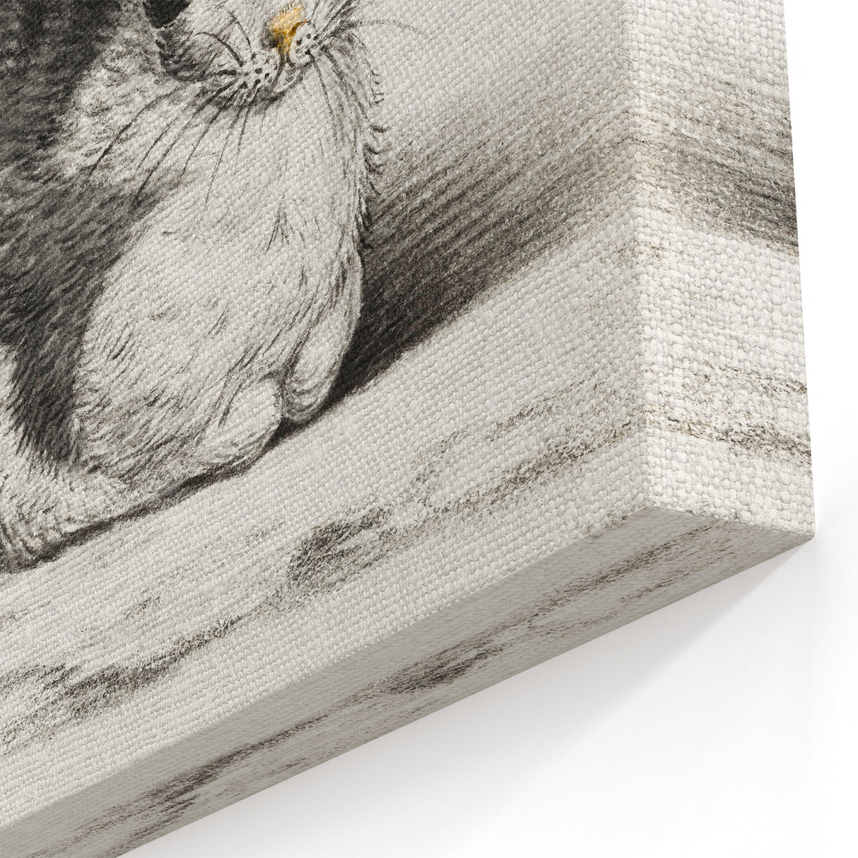 Classic Romantic Paintings - Lying Cat Illustration Wall Art