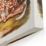 Classic Romantic Paintings - American Deer Illustration Canvas Art