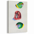 Famous Romantic Era Art - Australian Bird Heads Illustration Canvas Print