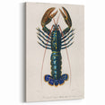 Romantic Era Art: Blue Lobster Illustration by Charles Dessalines d’Orbigny