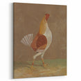 Romantic Era Art: "Pale-Breasted Fighting Cock" by John F. Herring