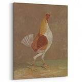 Romantic Era Art: "Pale-Breasted Fighting Cock" by John F. Herring