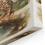 Romantic Era Art: "Ocelot or Leopard Cat" by John Woodhouse Audubon