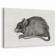 Romanticism Art - Study of a Mouse - Classic Romantic Animal Print