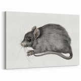 Romanticism Art - Study of a Mouse - Classic Romantic Animal Print