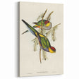 Romanticism Art - Red-Capped Parakeet - Classic Ornithological Print
