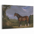 A Clydesdale Stallion by John Frederick Herring - Romantic Art Print