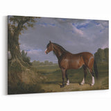 A Clydesdale Stallion by John Frederick Herring - Romantic Art Print