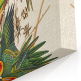 Carolina Parrot by Audubon - Romanticism Wildlife Art Print