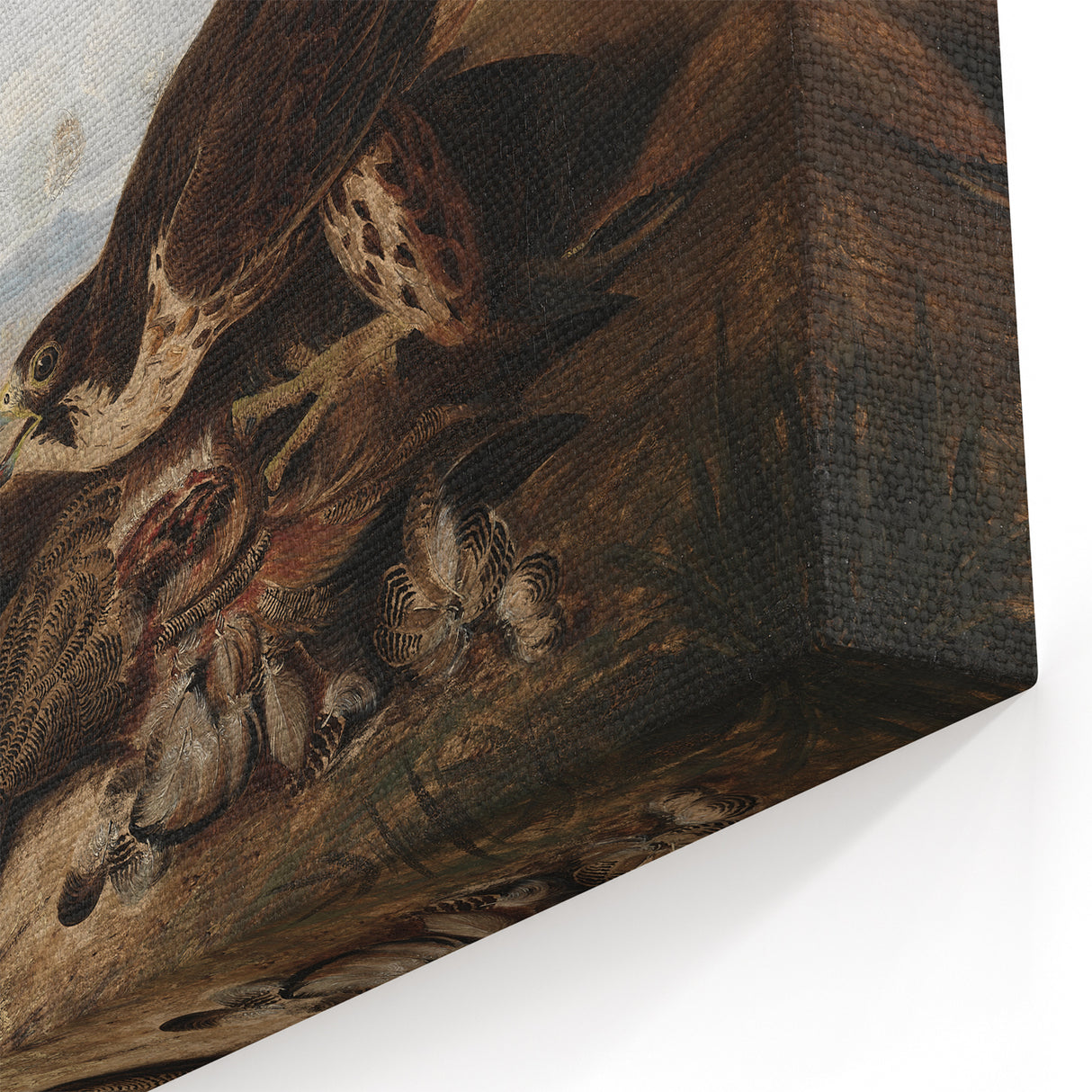 Peregrine Falcons by Audubon - Romanticism Wildlife Art Print