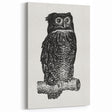 Expressionist Owl Wall Art - Bold Black & White Nature-Inspired Design