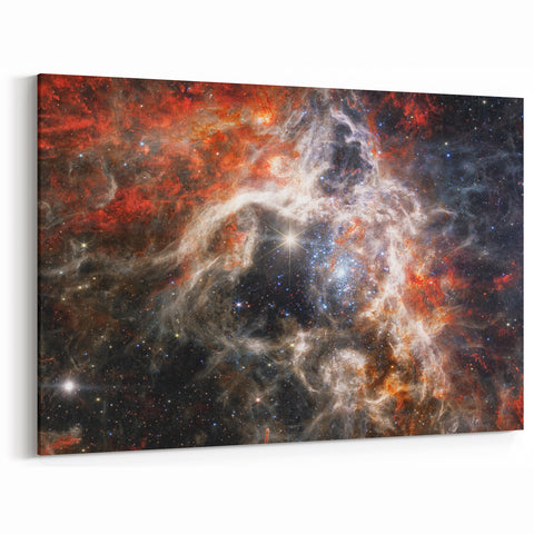 Tarantula Nebula Wall Art - NASA Space Exploration Canvas Print