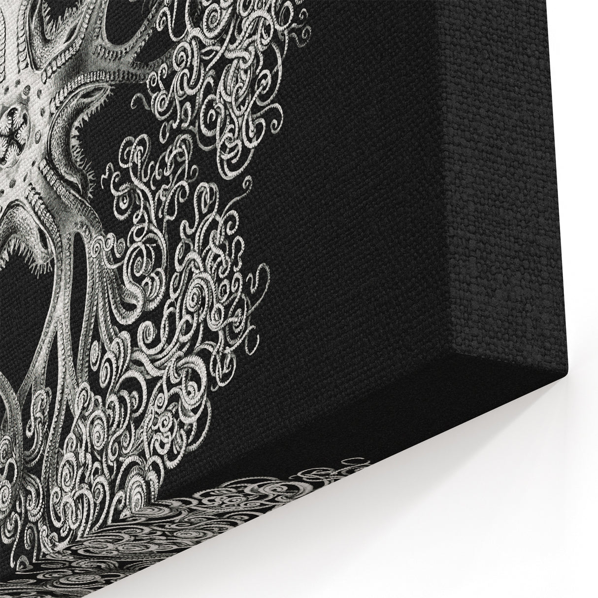 Modern Monochrome Art: Intricate Brittle Star Illustration