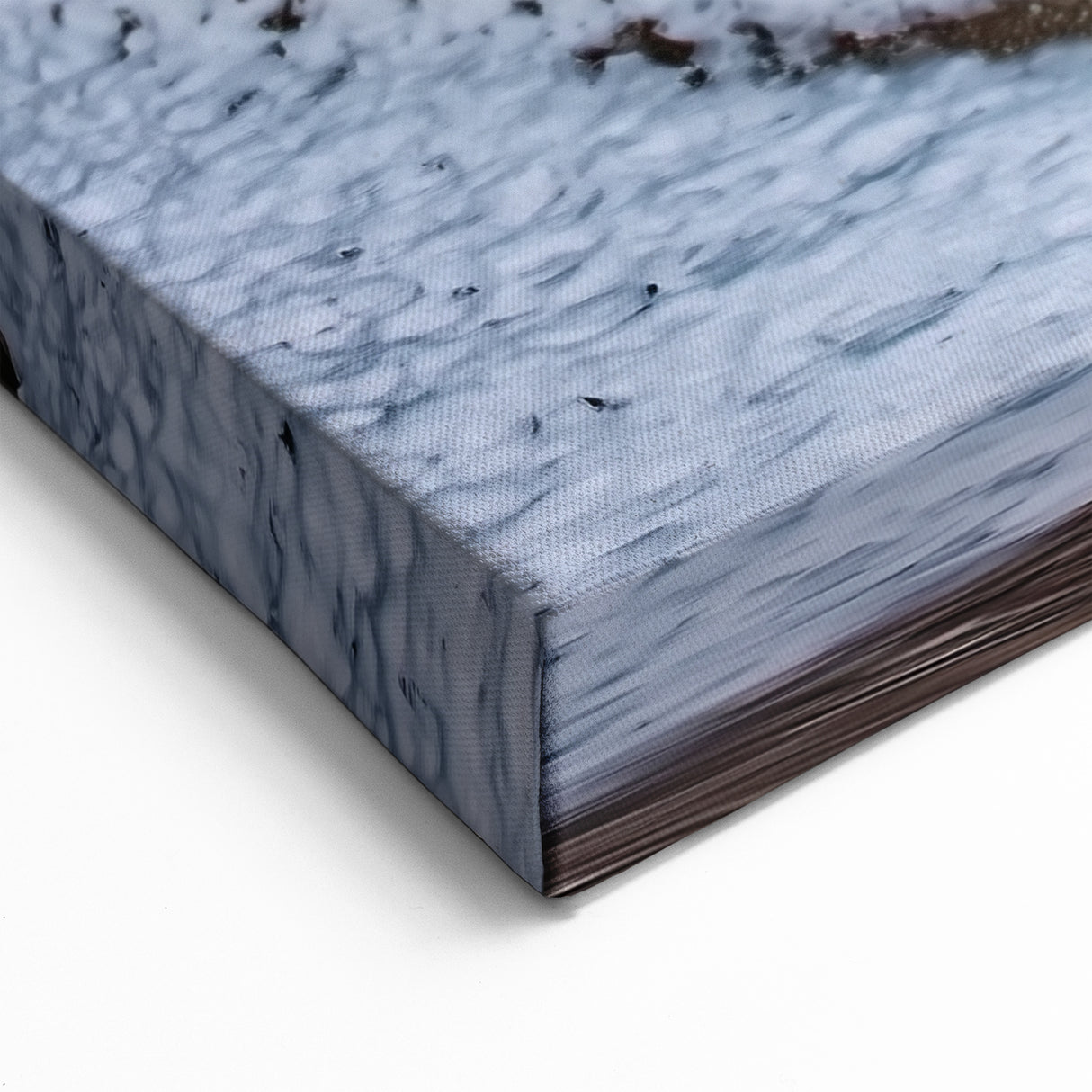 Frozen Canyon Waterfall Art - Scenic Canyon Canvas Prints for Decor