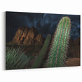 Cactus and Canyon Nightscape Wall Art - Desert Beauty Canvas Print