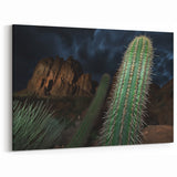 Cactus and Canyon Nightscape Wall Art - Desert Beauty Canvas Print