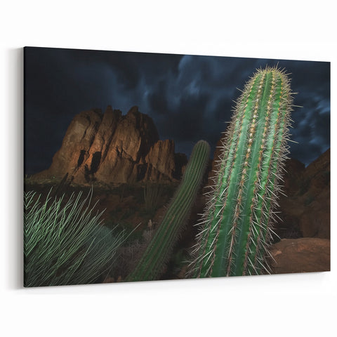 Cactus and Canyon Nightscape Wall Art - Desert Beauty Canvas Print