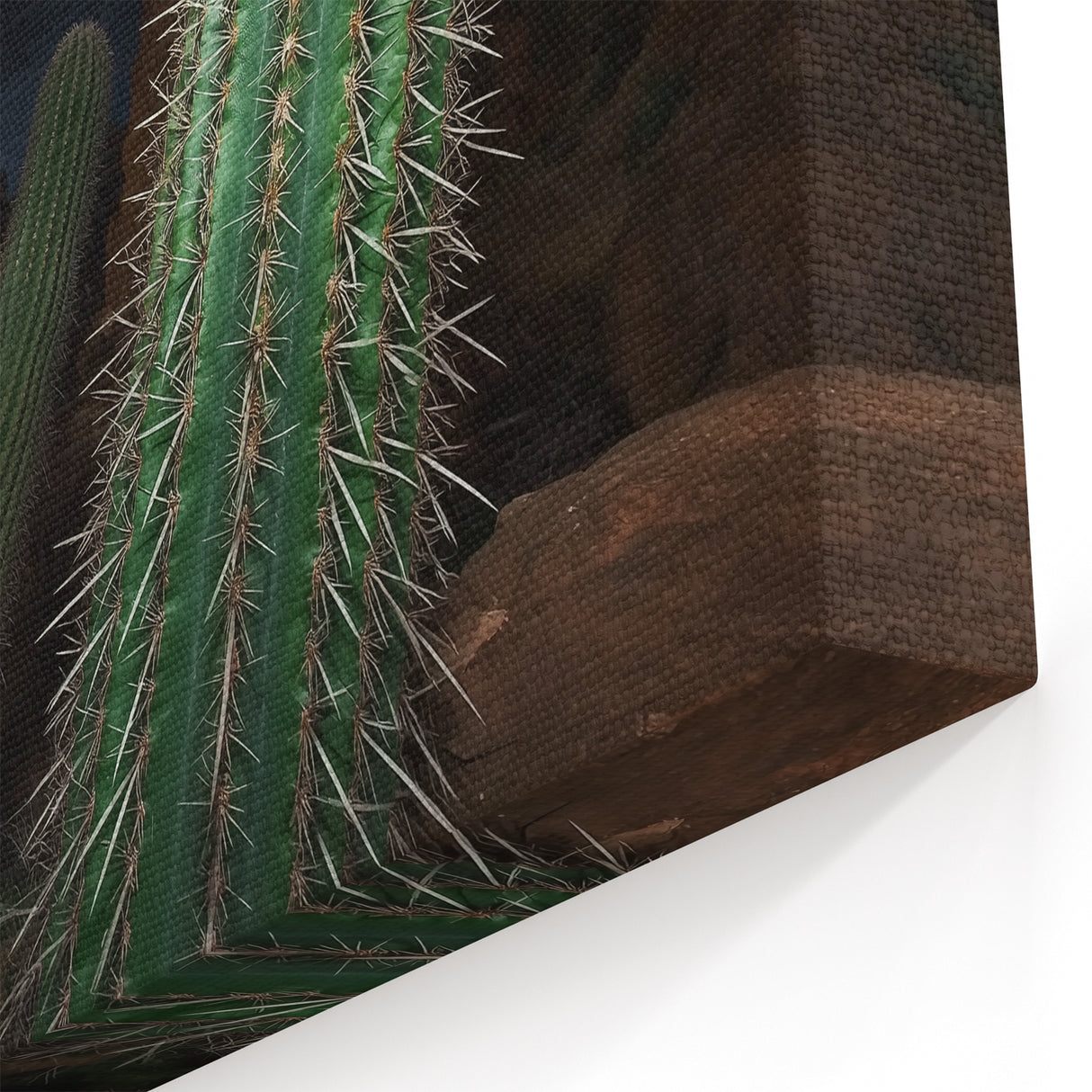 Cactus and Canyon Nightscape Wall Art - Desert Beauty Canvas Print