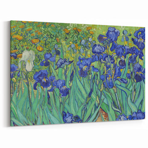 Van Gogh Canvas Prints - Irises in Bloom Wall Art