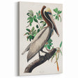 Famous Romantic Era Art: Green Begonia Rex Canvas Print