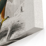 Romanticism Art: Eastern Imperial Eagle Illustration