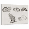 Romanticism Art: Five Studies of Cats by Jean Bernard