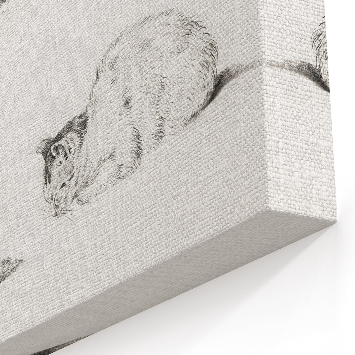 Romanticism Art: Five Studies of Cats by Jean Bernard