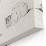 Romanticism Art: Five Studies of Cats by Jean Bernard