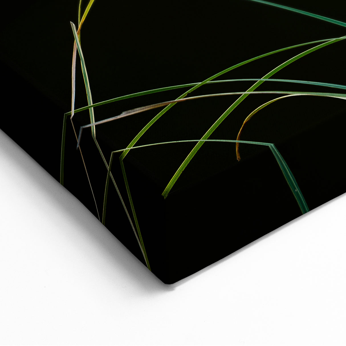 Floral Wall Art - Elegant Botanical Print with Natural Pampas Grass