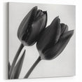 Black and White Tulip Art - Minimalist Floral Wall Decor Print