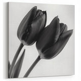 Black and White Tulip Art - Minimalist Floral Wall Decor Print