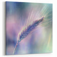 Pastel Dream Wheat Art - Serene Botanical Canvas Wall Decor