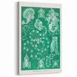 Modern Wall Art: Siphonophorae Study - Abstract Nature Design