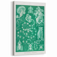 Modern Wall Art: Siphonophorae Study - Abstract Nature Design