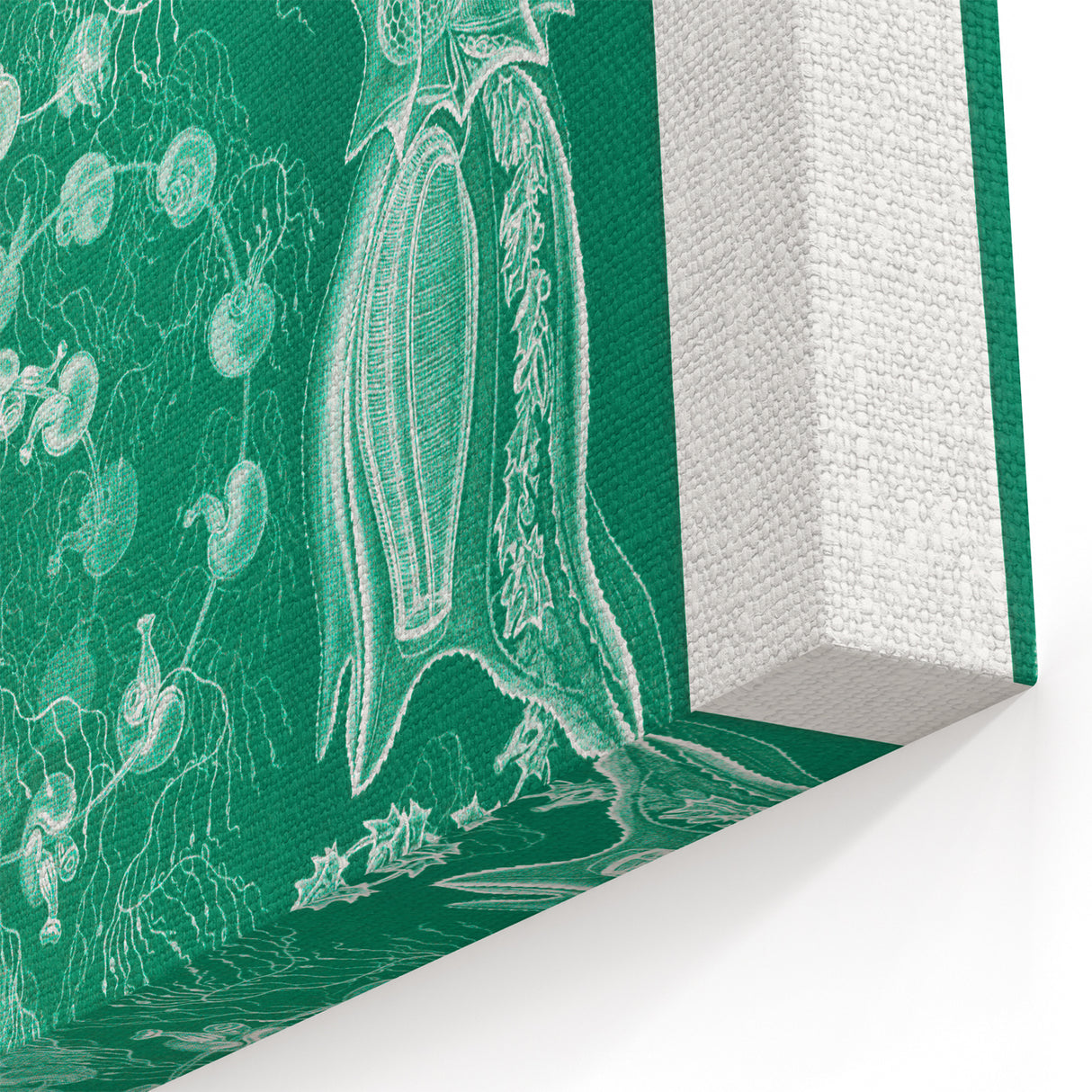 Modern Wall Art: Siphonophorae Study - Abstract Nature Design