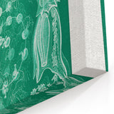 Modern Wall Art: Siphonophorae Study - Abstract Nature Design