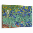 Starry Night Wall Art - Irises in Bloom by Vincent van Gogh