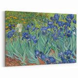 Starry Night Wall Art - Irises in Bloom by Vincent van Gogh
